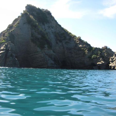Te Puia Waipiro Bay Paradise B&B 외부 사진