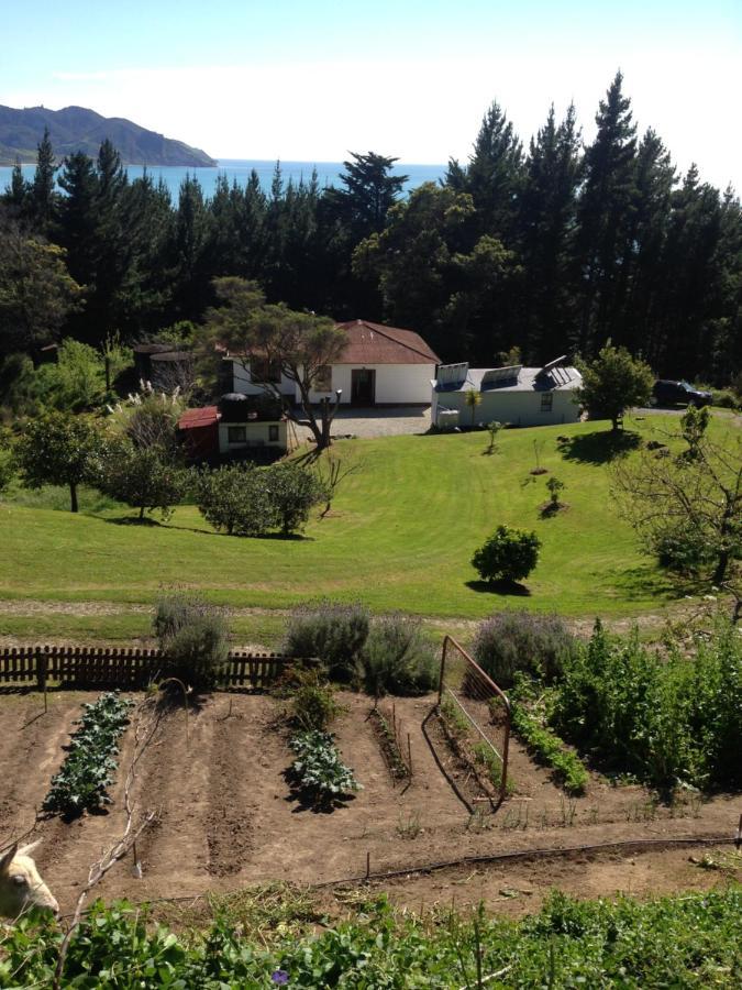 Te Puia Waipiro Bay Paradise B&B 외부 사진