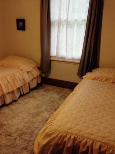 Te Puia Waipiro Bay Paradise B&B 외부 사진