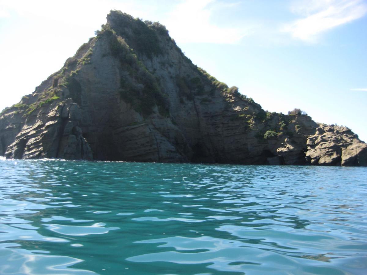 Te Puia Waipiro Bay Paradise B&B 외부 사진