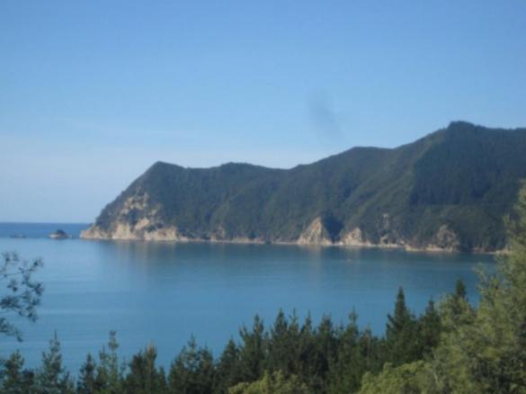 Te Puia Waipiro Bay Paradise B&B 외부 사진