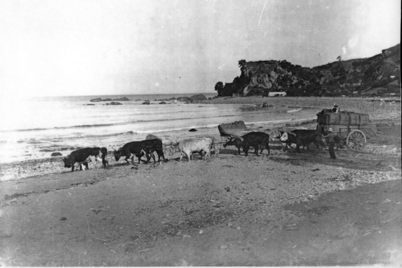 Te Puia Waipiro Bay Paradise B&B 외부 사진