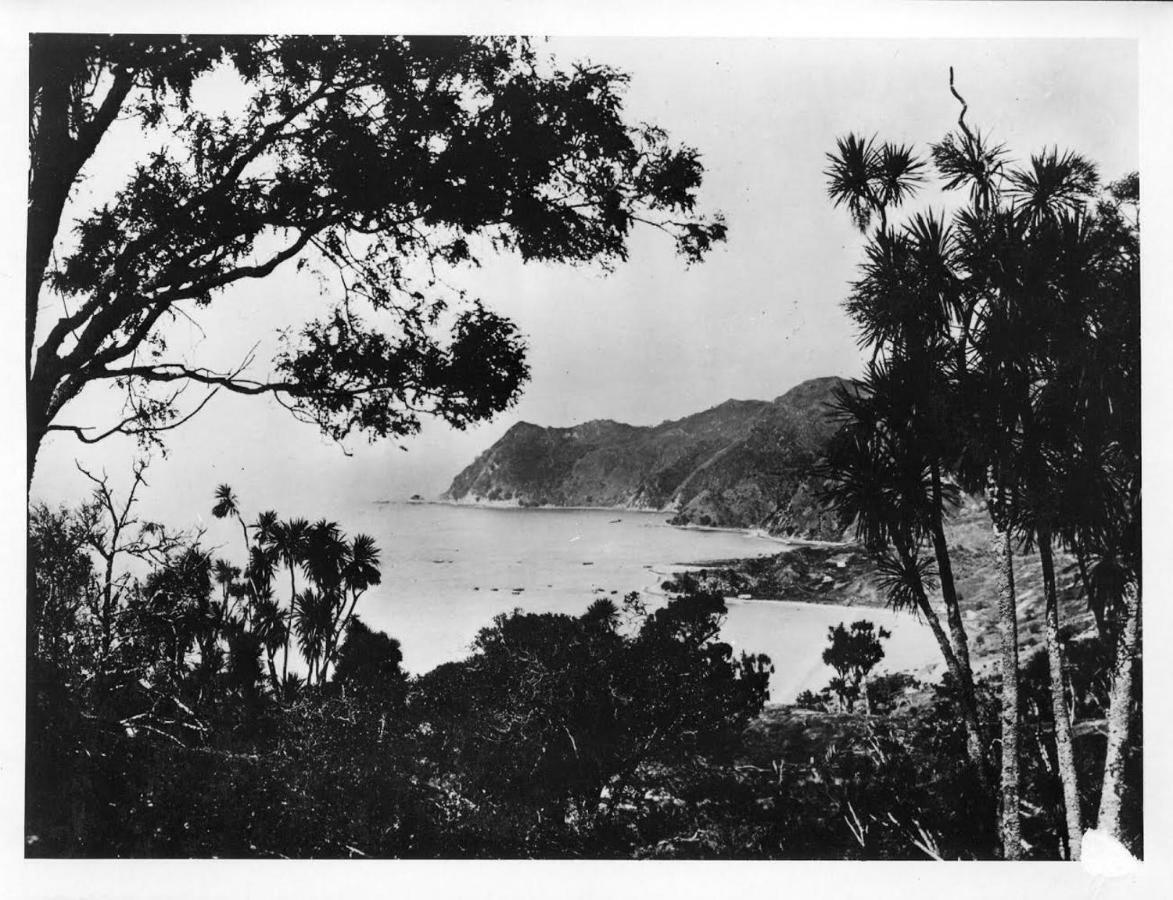 Te Puia Waipiro Bay Paradise B&B 외부 사진