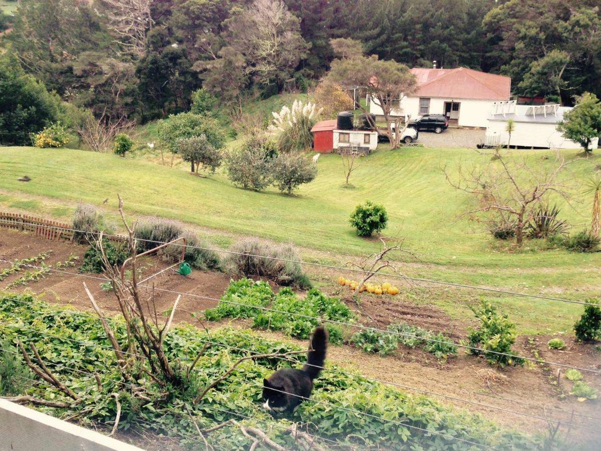 Te Puia Waipiro Bay Paradise B&B 외부 사진